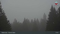 Archiv Foto Webcam Bodenmais - Chamer Hütte 16:00