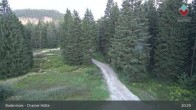 Archiv Foto Webcam Bodenmais - Chamer Hütte 02:00