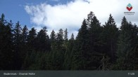 Archiv Foto Webcam Bodenmais - Chamer Hütte 10:00