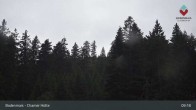 Archived image Webcam Bodenmais - Chamer Hut 08:00