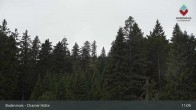 Archived image Webcam Bodenmais - Chamer Hut 10:00