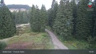 Archived image Webcam Bodenmais - Chamer Hut 02:00