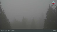 Archiv Foto Webcam Bodenmais - Chamer Hütte 08:00