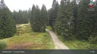 Archiv Foto Webcam Bodenmais - Chamer Hütte 10:00