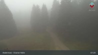 Archiv Foto Webcam Bodenmais - Chamer Hütte 06:00