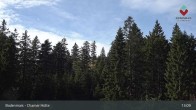 Archived image Webcam Bodenmais - Chamer Hut 12:00