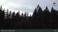 Archived image Webcam Bodenmais - Chamer Hut 16:00
