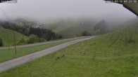 Archiv Foto Webcam Münstertal-Wieden: Skilift Heidstein 07:00