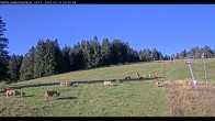 Archived image Webcam Haldenköpfle - View Lift 2 08:00