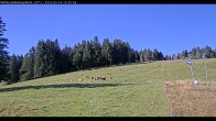 Archived image Webcam Haldenköpfle - View Lift 2 09:00