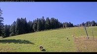 Archived image Webcam Haldenköpfle - View Lift 2 11:00