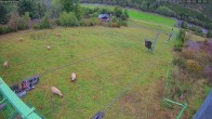 Archived image Webcam Hesselbach Glacier - Top Station 08:00