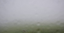Archived image Webcam Herchenhainer Höhe - Panorama 11:00