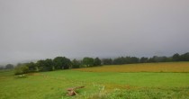 Archiv Foto Webcam Herchenhainer Höhe: Vogelschmiede 07:00