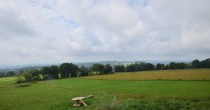 Archiv Foto Webcam Herchenhainer Höhe: Vogelschmiede 09:00