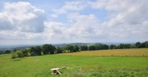 Archiv Foto Webcam Herchenhainer Höhe: Vogelschmiede 11:00