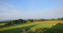 Archiv Foto Webcam Herchenhainer Höhe: Vogelschmiede 06:00