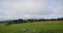 Archiv Foto Webcam Herchenhainer Höhe: Vogelschmiede 07:00