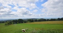 Archiv Foto Webcam Herchenhainer Höhe: Vogelschmiede 11:00