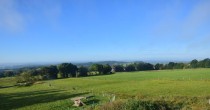 Archiv Foto Webcam Herchenhainer Höhe: Vogelschmiede 08:00