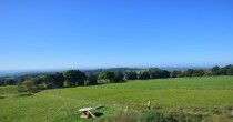 Archiv Foto Webcam Herchenhainer Höhe: Vogelschmiede 09:00