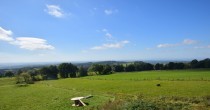 Archiv Foto Webcam Herchenhainer Höhe: Vogelschmiede 11:00