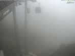 Archived image Jenner - Webcam Valley 13:00