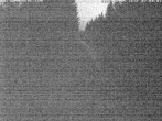 Archived image Webcam Kammloipe: Nordic Trails Johanngeorgenstadt 01:00
