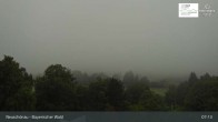 Archiv Foto Webcam Neuschönau - Nationalparkzentrum Hans-Eisemann- Haus 06:00
