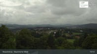 Archiv Foto Webcam Neuschönau - Nationalparkzentrum Hans-Eisemann- Haus 12:00