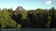 Archived image Webcam Neuschönau - National Park Center Hans-Eisemann-Haus 06:00