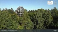 Archived image Webcam Neuschönau - National Park Center Hans-Eisemann-Haus 08:00