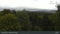 Archiv Foto Webcam Neuschönau - Nationalparkzentrum Hans-Eisemann- Haus 08:00