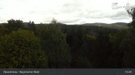 Archiv Foto Webcam Neuschönau - Nationalparkzentrum Hans-Eisemann- Haus 12:00