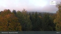 Archived image Webcam Neuschönau - National Park Center Hans-Eisemann-Haus 04:00