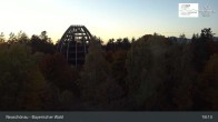 Archived image Webcam Neuschönau - National Park Center Hans-Eisemann-Haus 00:00