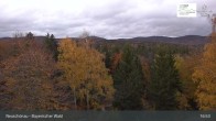 Archived image Webcam Neuschönau - National Park Center Hans-Eisemann-Haus 02:00