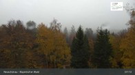 Archived image Webcam Neuschönau - National Park Center Hans-Eisemann-Haus 06:00