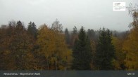 Archived image Webcam Neuschönau - National Park Center Hans-Eisemann-Haus 08:00