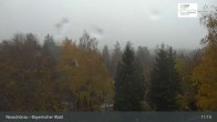 Archived image Webcam Neuschönau - National Park Center Hans-Eisemann-Haus 10:00