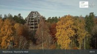 Archiv Foto Webcam Neuschönau - Nationalparkzentrum Hans-Eisemann- Haus 08:00