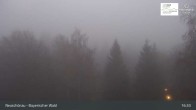 Archived image Webcam Neuschönau - National Park Center Hans-Eisemann-Haus 00:00