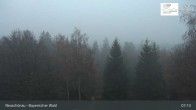 Archived image Webcam Neuschönau - National Park Center Hans-Eisemann-Haus 06:00