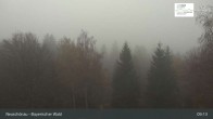 Archived image Webcam Neuschönau - National Park Center Hans-Eisemann-Haus 08:00
