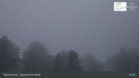 Archiv Foto Webcam Neuschönau - Nationalparkzentrum Hans-Eisemann- Haus 00:00