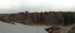 Archived image Webcam Tree Top Walk Bavarian Forest in Neuschönau 08:00