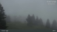 Archiv Foto Webcam Gstaad - Bergrestaurant Eggli 08:00