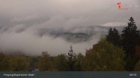 Archived image Webcam Freyung (Bavarian Forest) 08:00