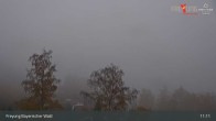 Archiv Foto Webcam Blick auf Freyung im Bayerischen Wald 10:00