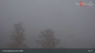 Archiv Foto Webcam Blick auf Freyung im Bayerischen Wald 12:00